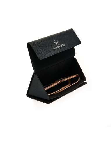 Sunglasses Case - Triangle