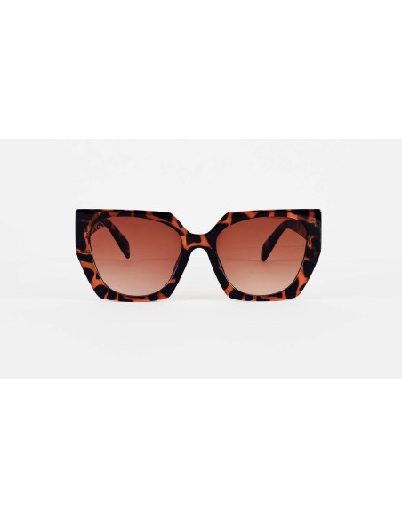 Women Sunglasses • Stephi