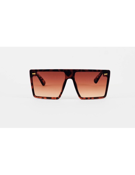 Women Sunglasses • Maria