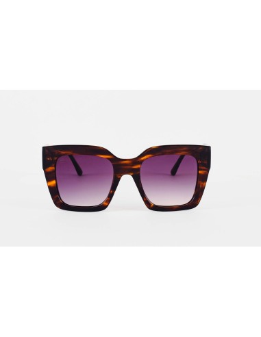 Women Sunglasses • Gloria
