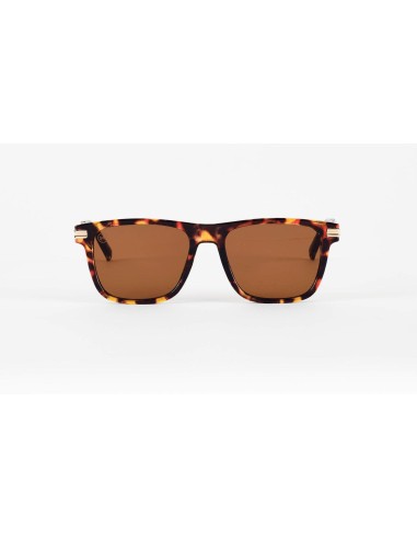 Unisex Sunglasses Crush