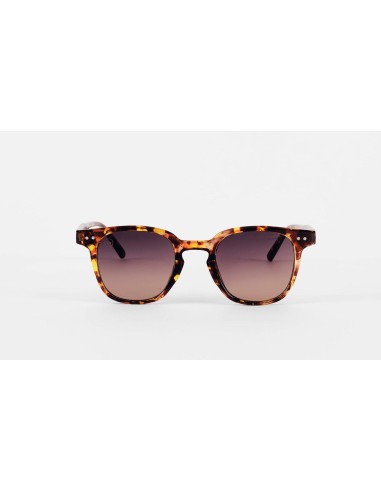 Unisex Sunglasses Tiger