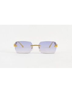 Unisex Sunglasses Venice