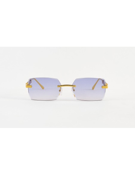 Unisex Sunglasses Venice