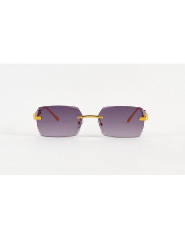 Unisex Sunglasses Venice