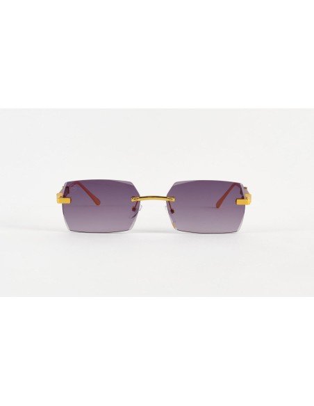 Unisex Sunglasses Venice