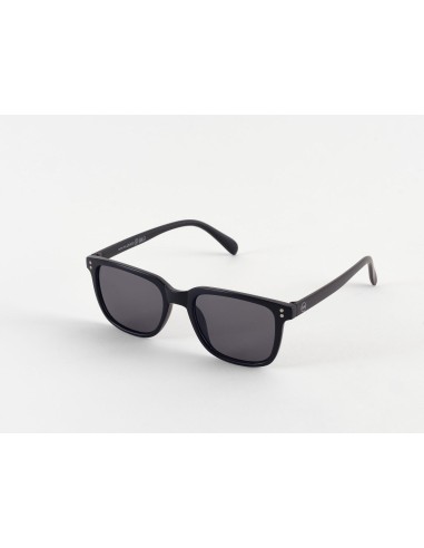 Unisex Sunglasses Robin
