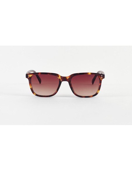 Unisex Sunglasses Robin