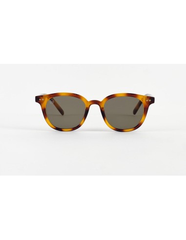 Unisex Sunglasses Scottie
