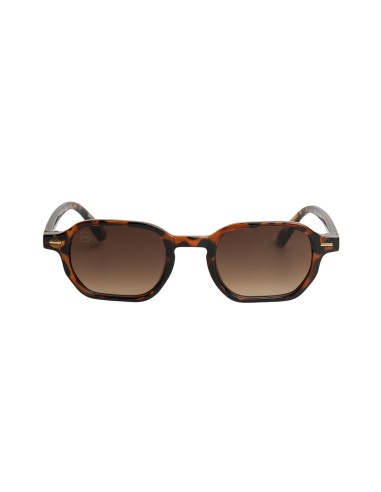 Gafas de sol hombre Terry Carey