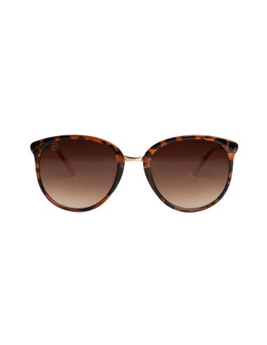 Women Sunglasses • Sara