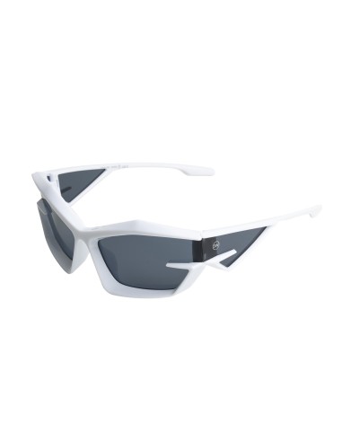 Men Sunglasses Raw