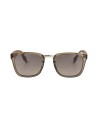 Gafas de sol hombre Alligator