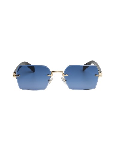 Gafas de sol unisex Carteer