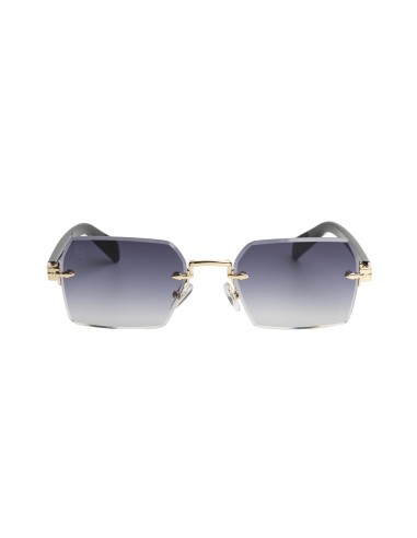 Gafas de sol unisex Carteer