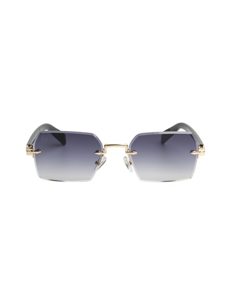 Gafas de sol unisex Carteer
