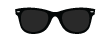 Wayfarer Sunglasses
